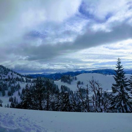 Pension Edelweiss Top 25 Gosau Esterno foto