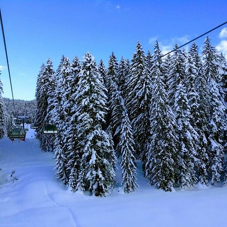 Pension Edelweiss Top 25 Gosau Esterno foto