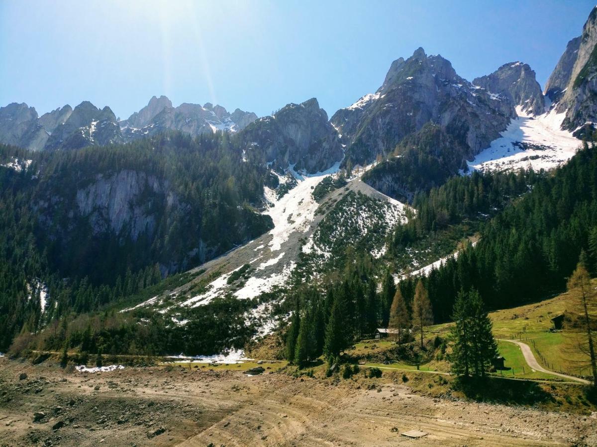 Pension Edelweiss Top 25 Gosau Esterno foto