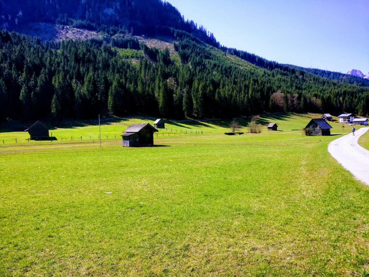 Pension Edelweiss Top 25 Gosau Esterno foto
