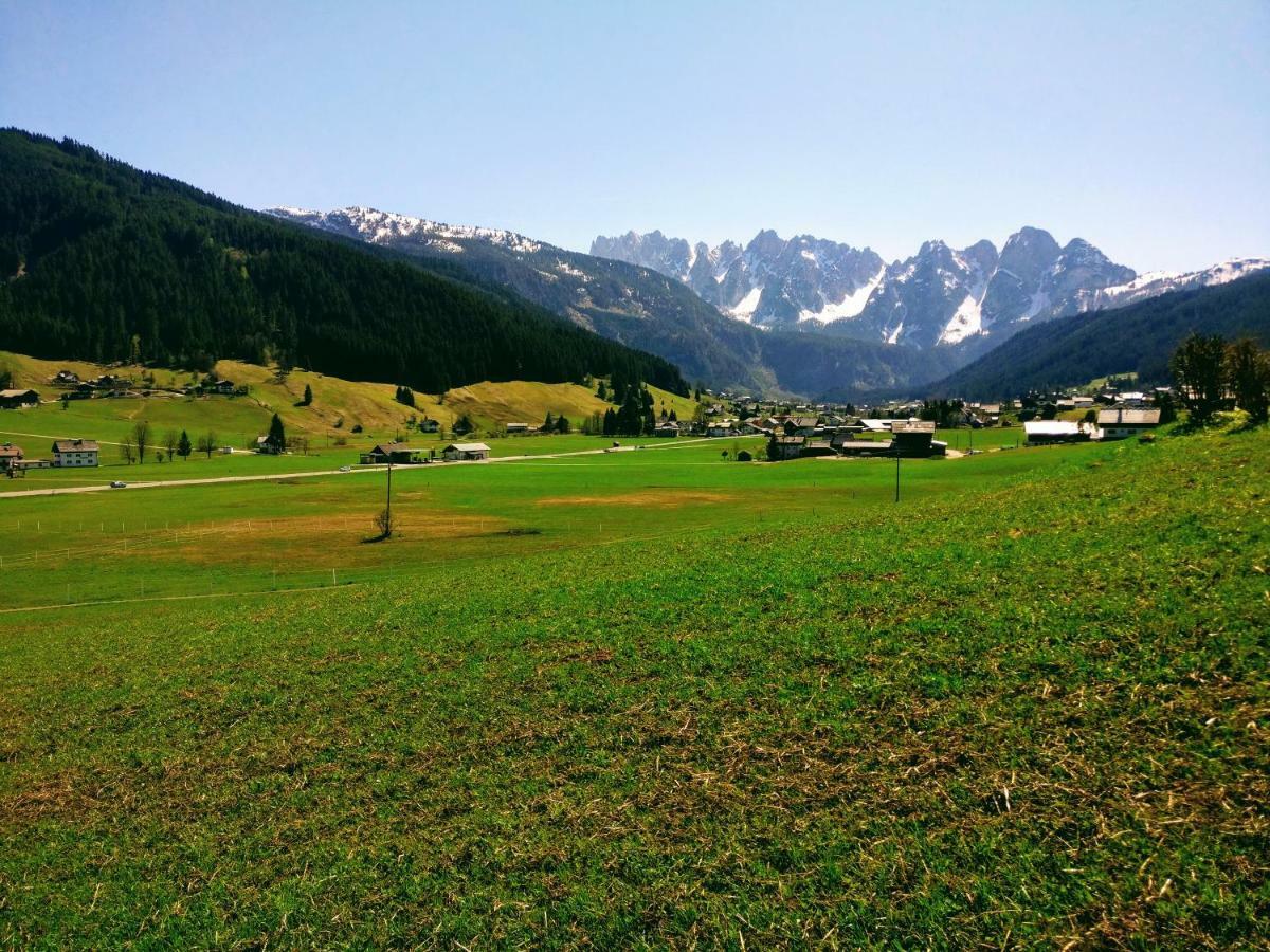 Pension Edelweiss Top 25 Gosau Esterno foto