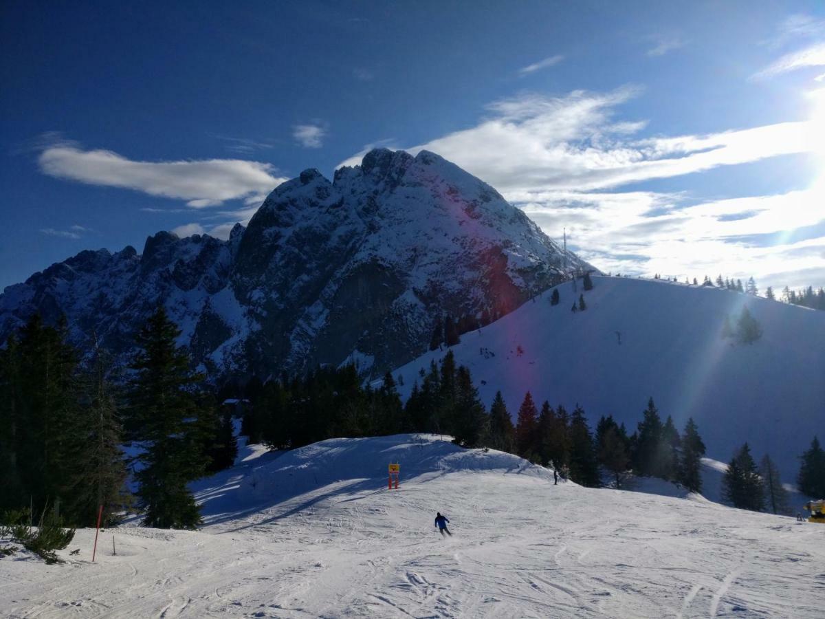 Pension Edelweiss Top 25 Gosau Esterno foto