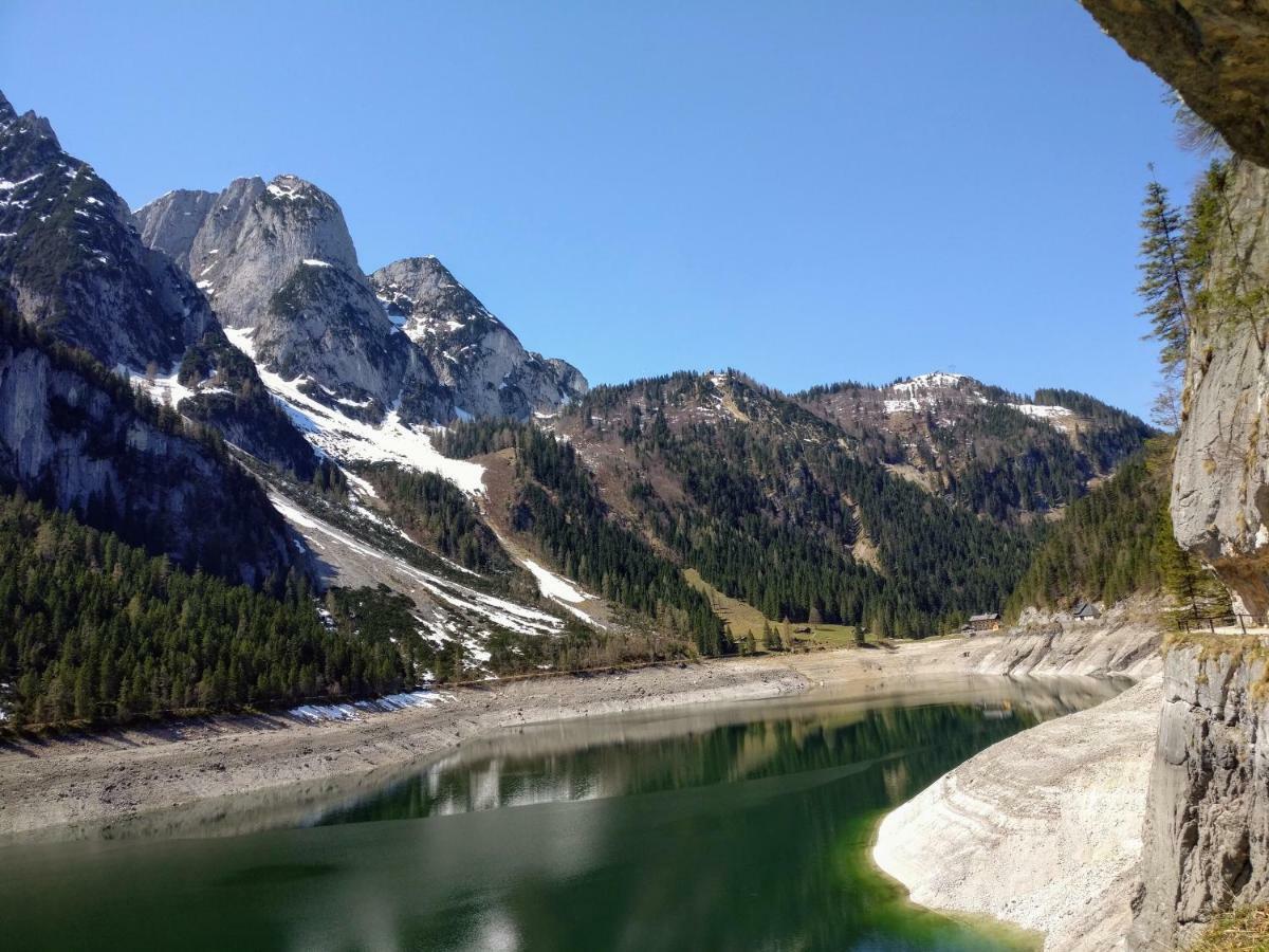 Pension Edelweiss Top 25 Gosau Esterno foto