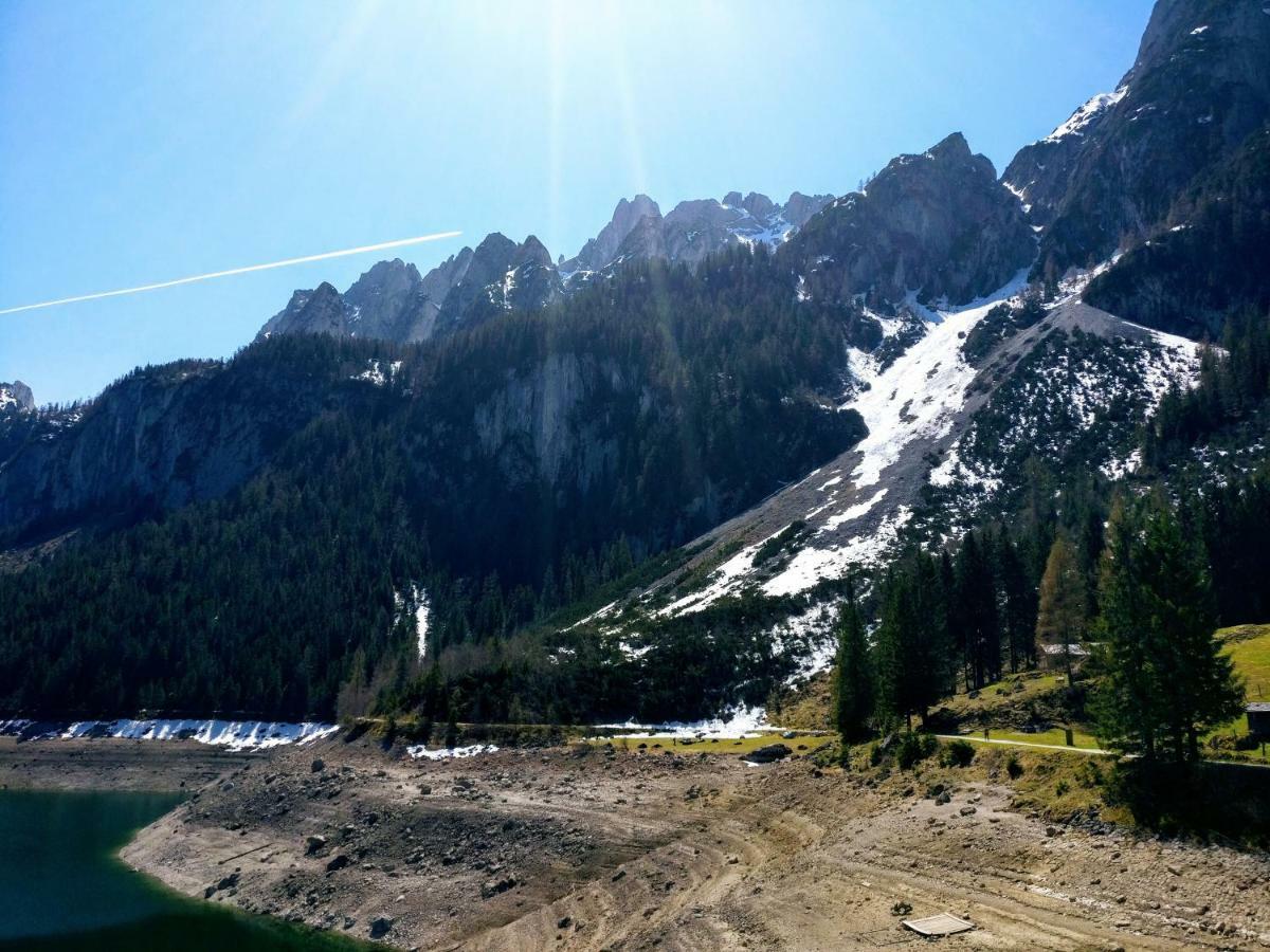 Pension Edelweiss Top 25 Gosau Esterno foto