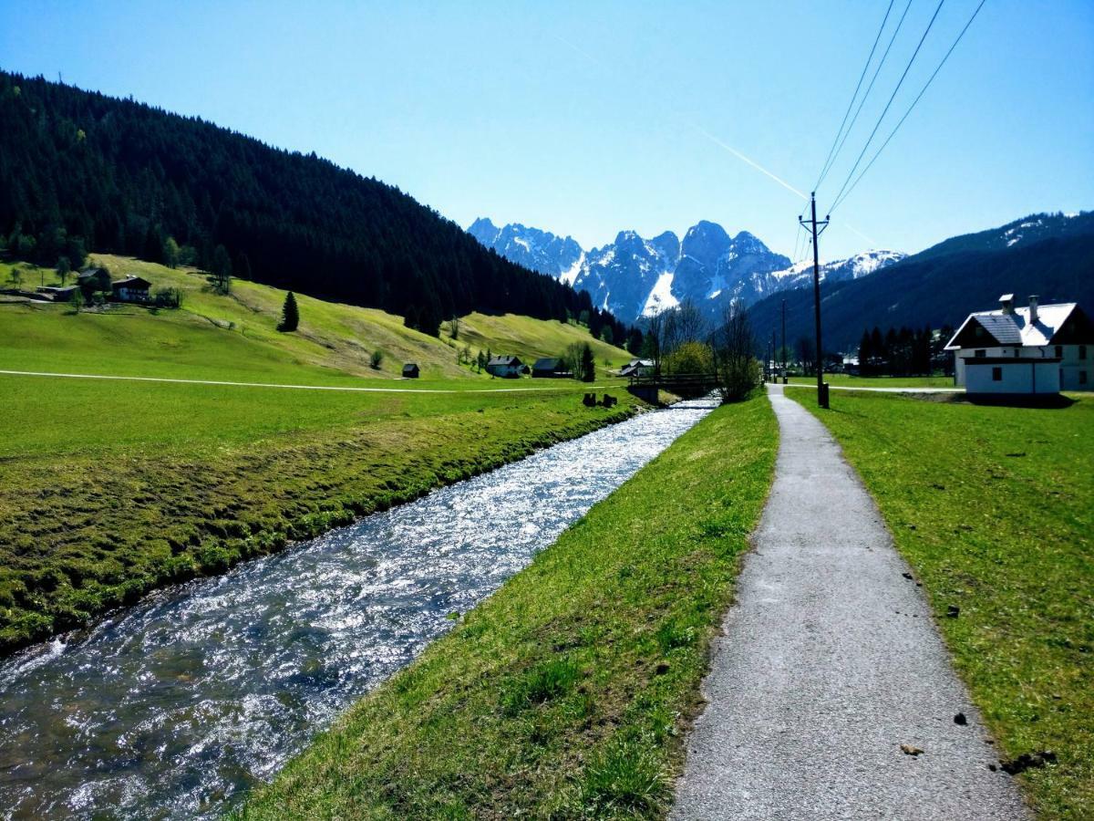 Pension Edelweiss Top 25 Gosau Esterno foto