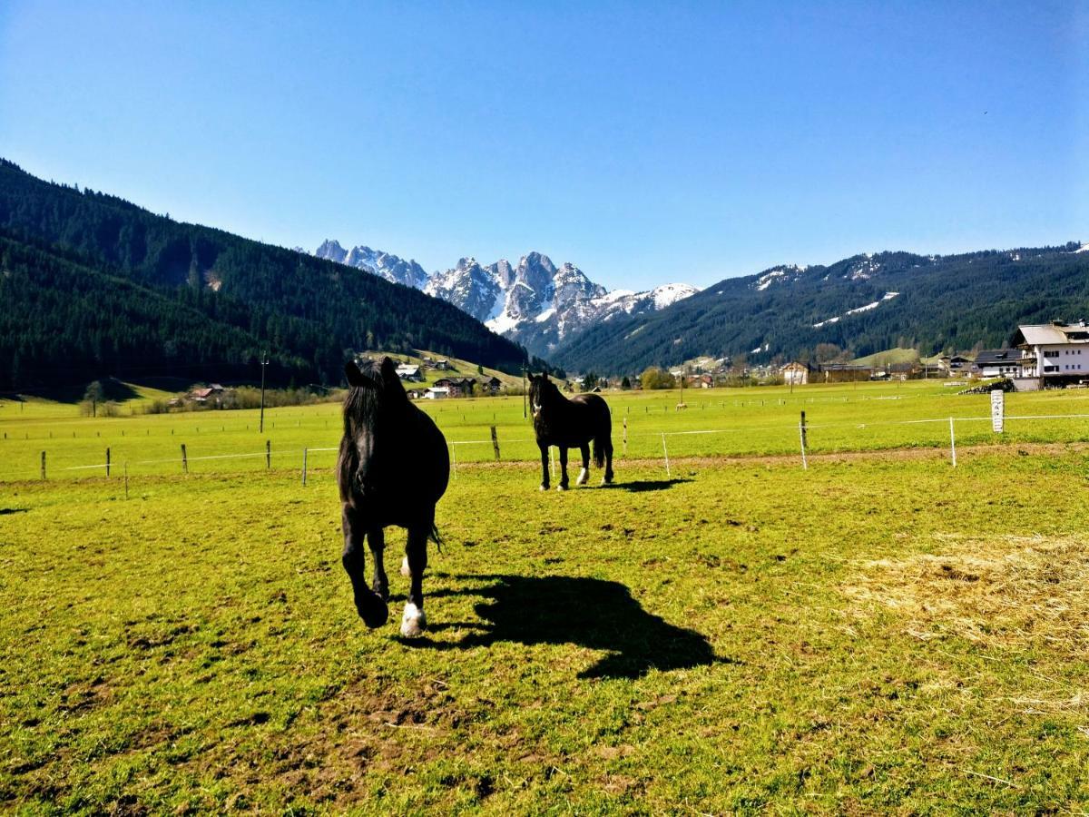 Pension Edelweiss Top 25 Gosau Esterno foto