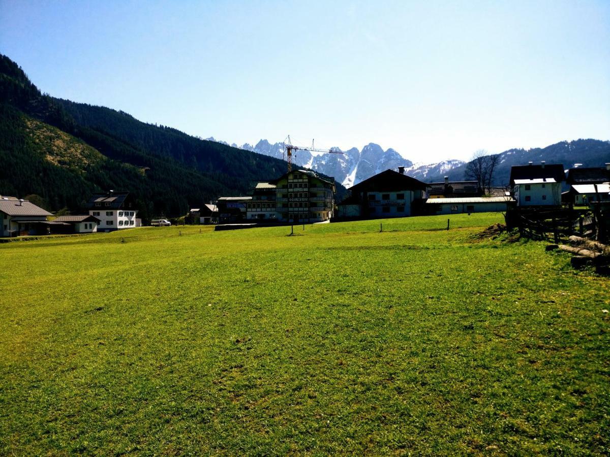 Pension Edelweiss Top 25 Gosau Esterno foto