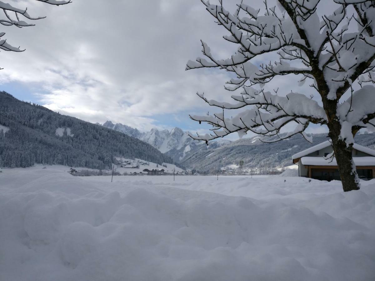 Pension Edelweiss Top 25 Gosau Esterno foto