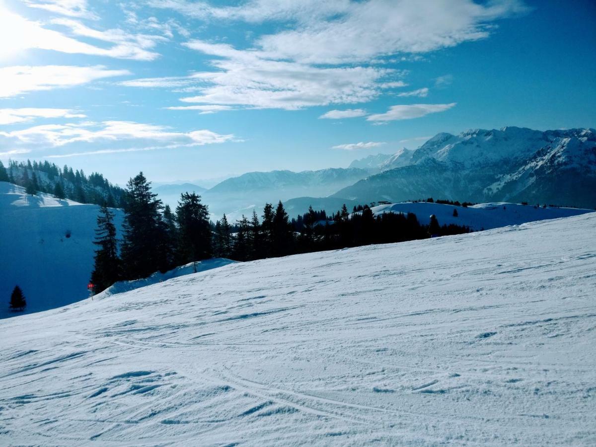 Pension Edelweiss Top 25 Gosau Esterno foto