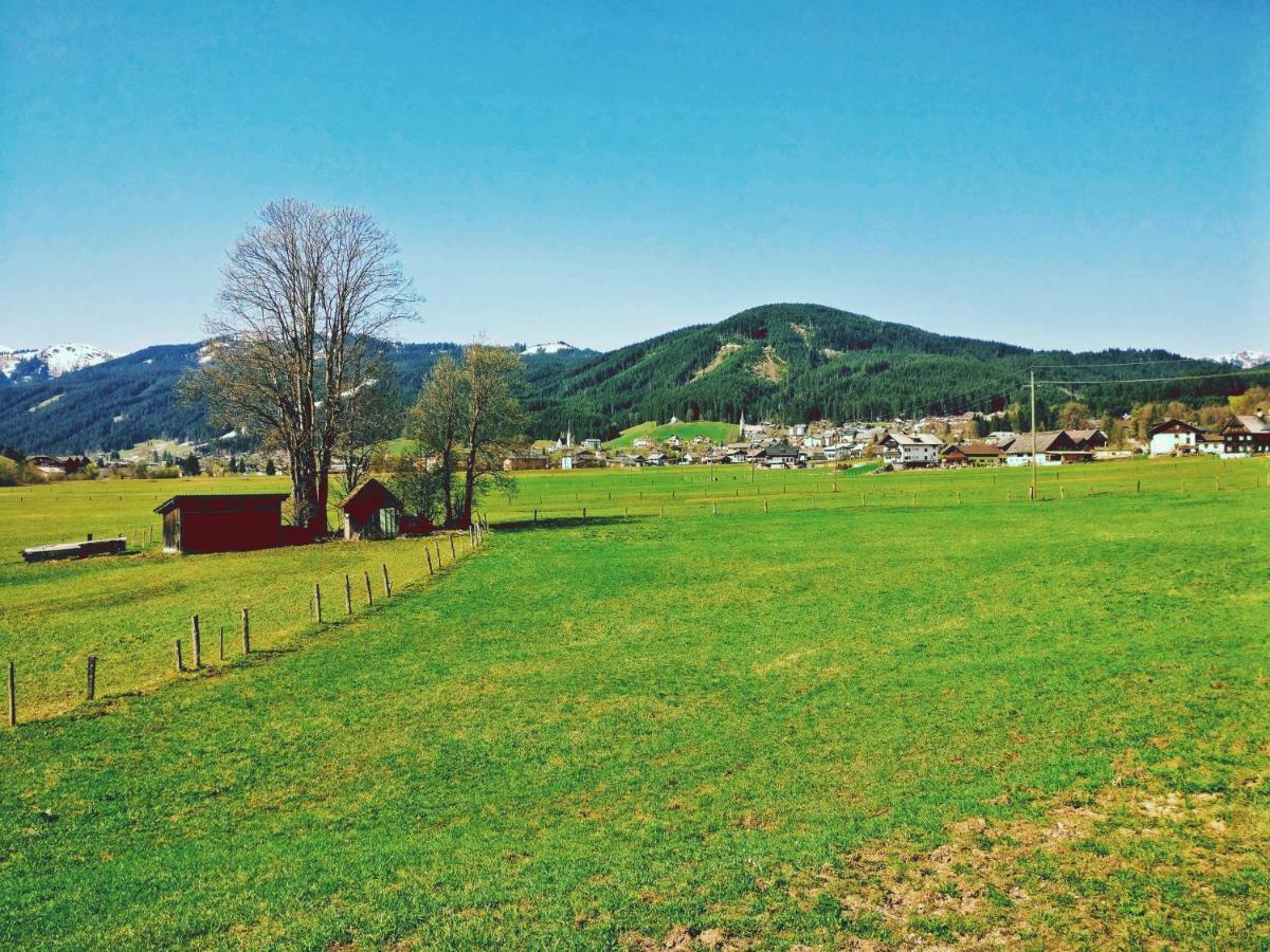 Pension Edelweiss Top 25 Gosau Esterno foto