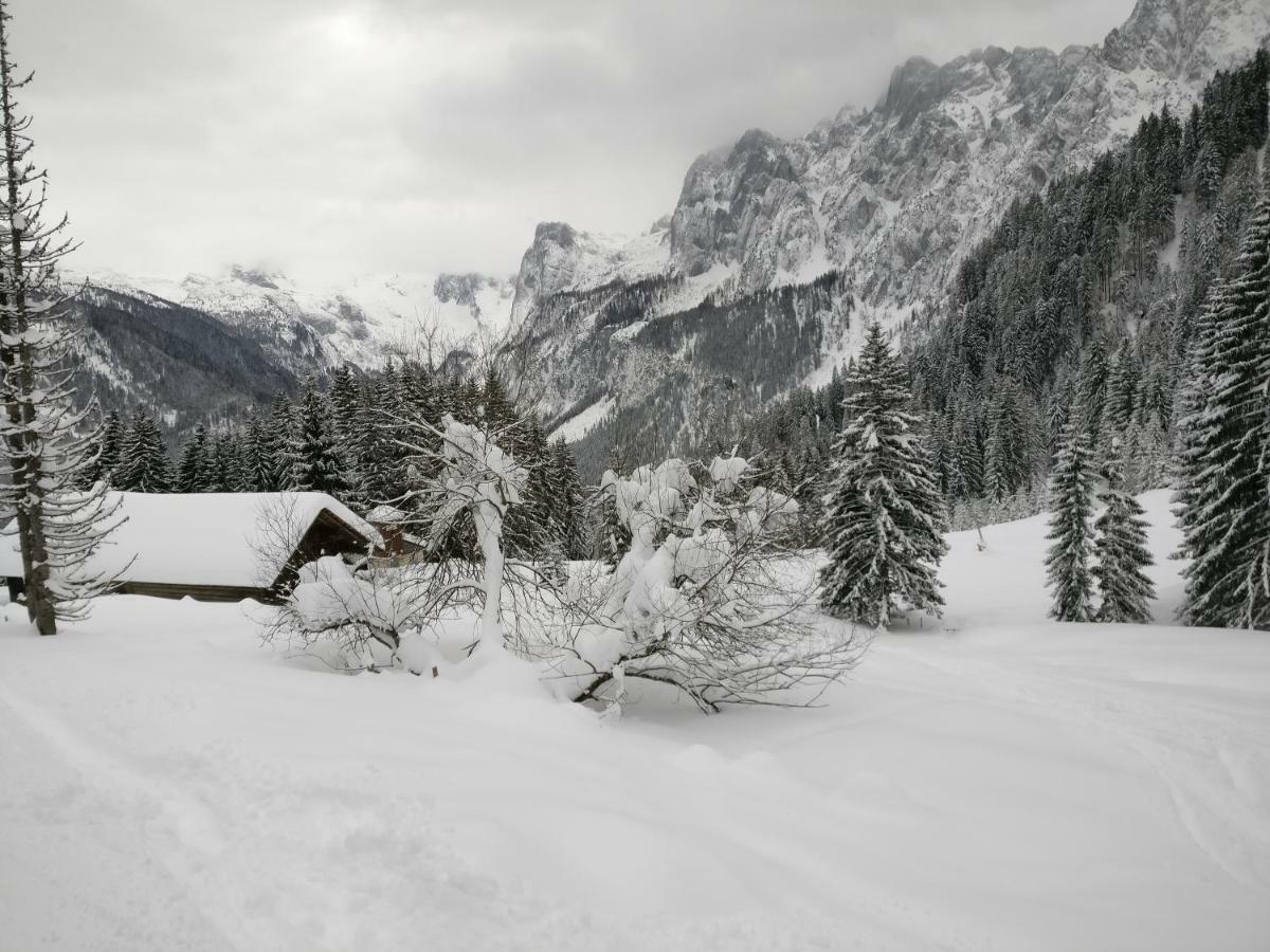 Pension Edelweiss Top 25 Gosau Esterno foto