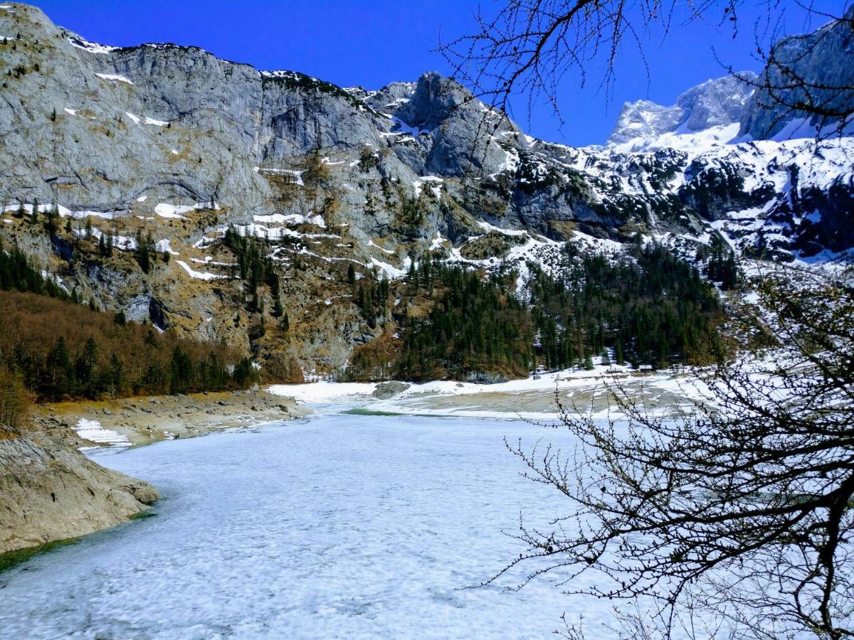 Pension Edelweiss Top 25 Gosau Esterno foto