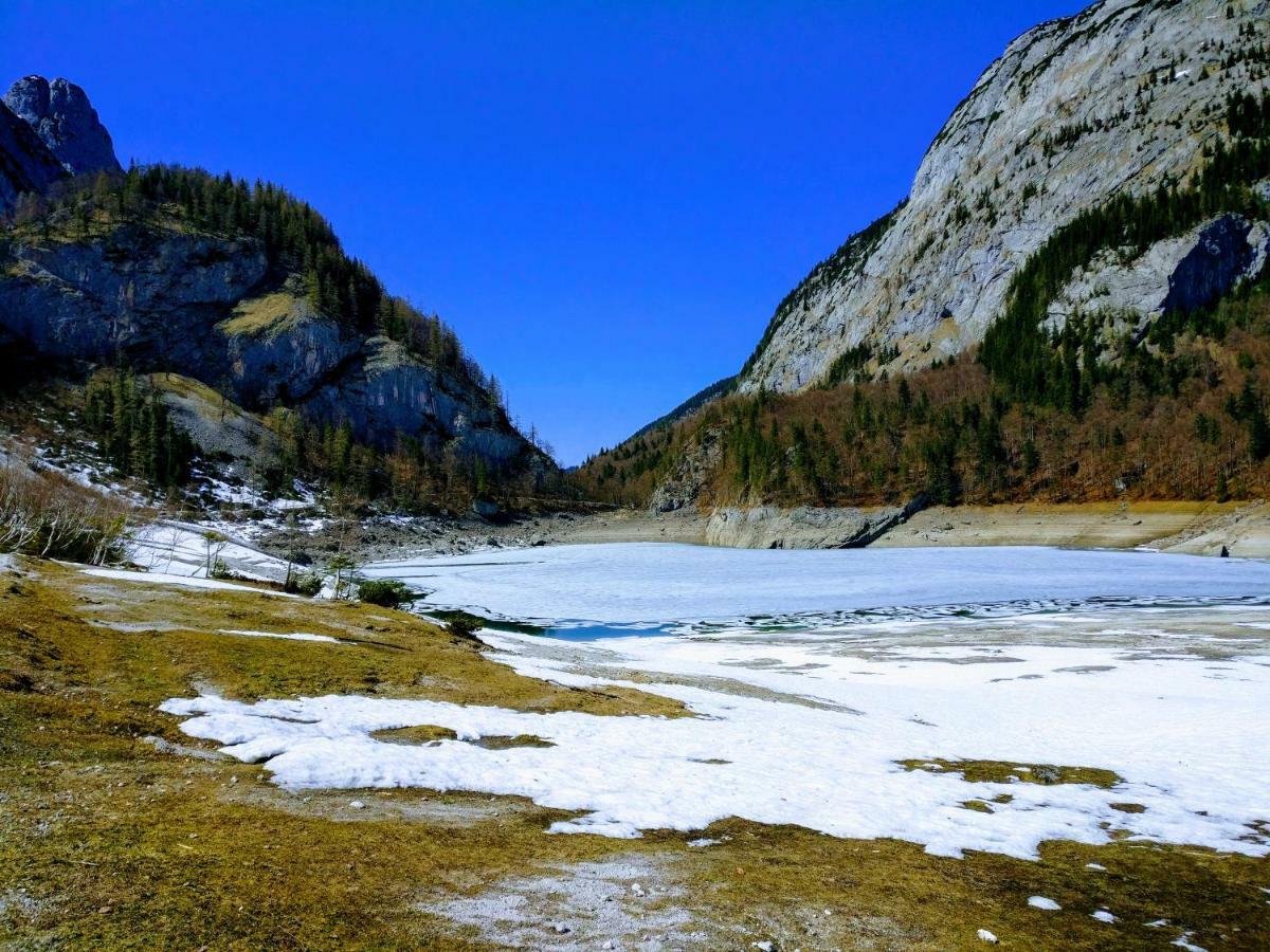 Pension Edelweiss Top 25 Gosau Esterno foto