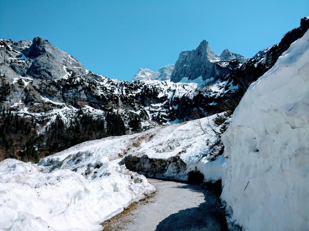 Pension Edelweiss Top 25 Gosau Esterno foto