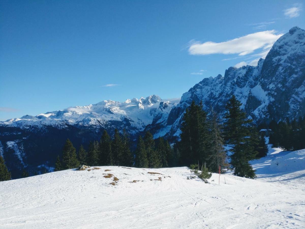 Pension Edelweiss Top 25 Gosau Esterno foto
