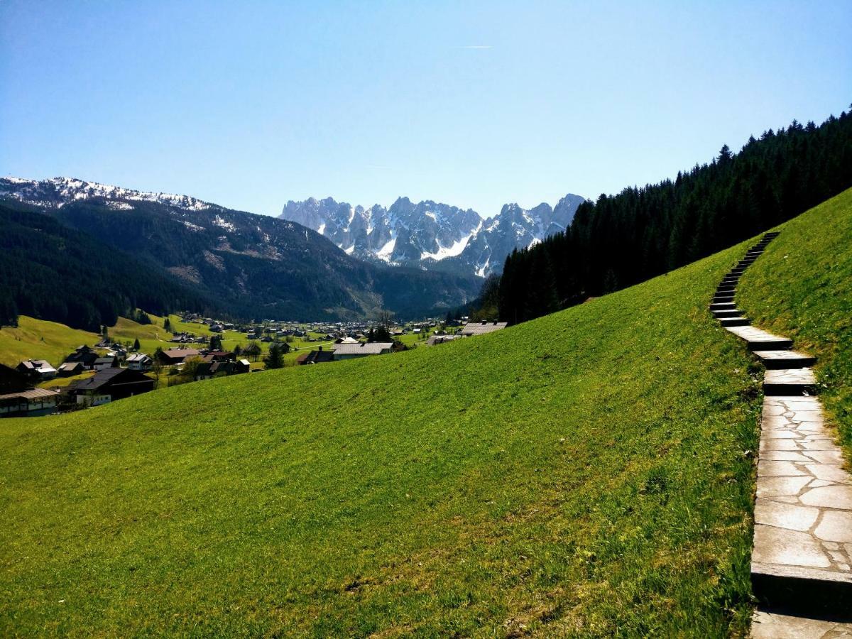 Pension Edelweiss Top 25 Gosau Esterno foto