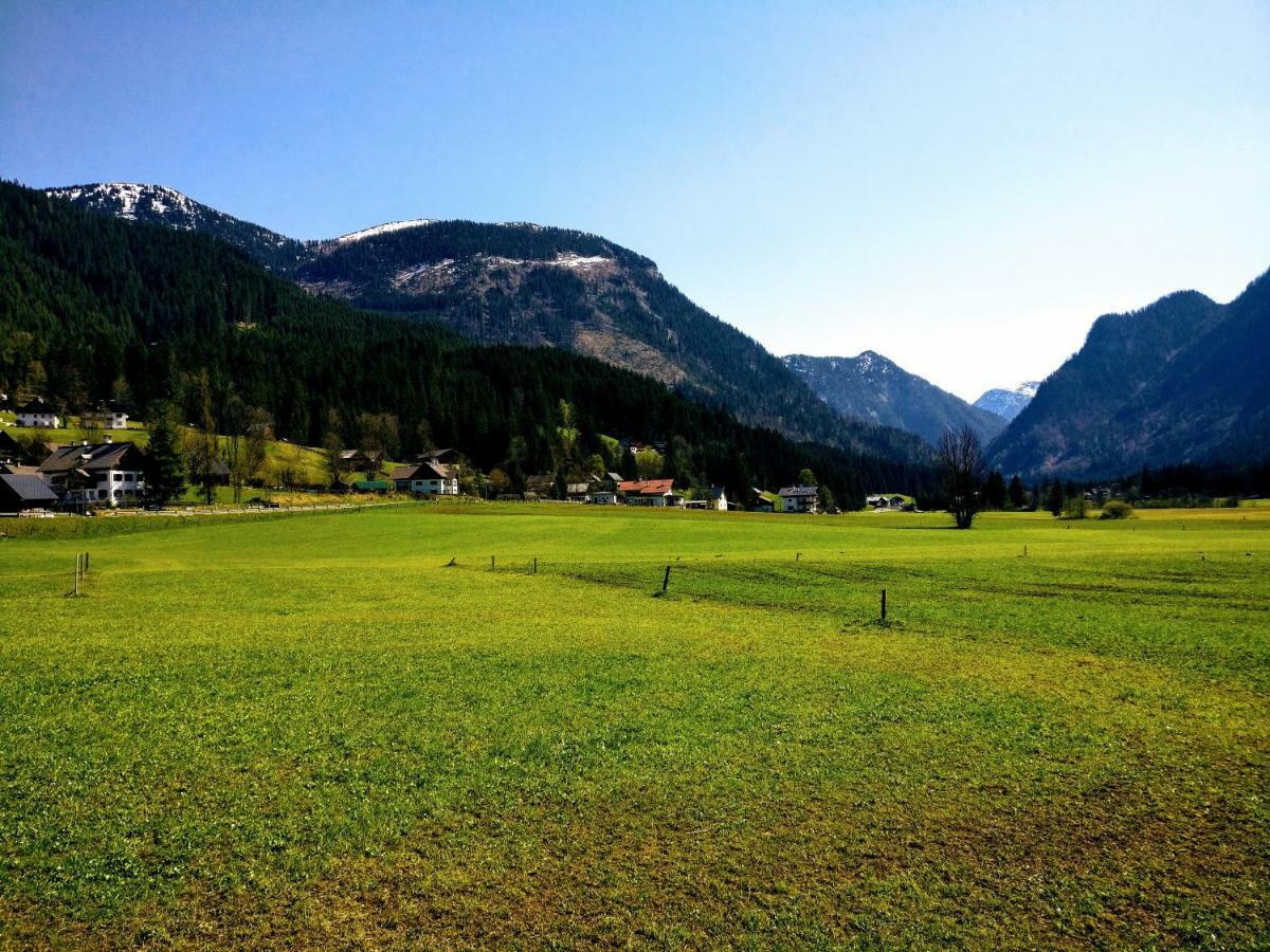 Pension Edelweiss Top 25 Gosau Esterno foto