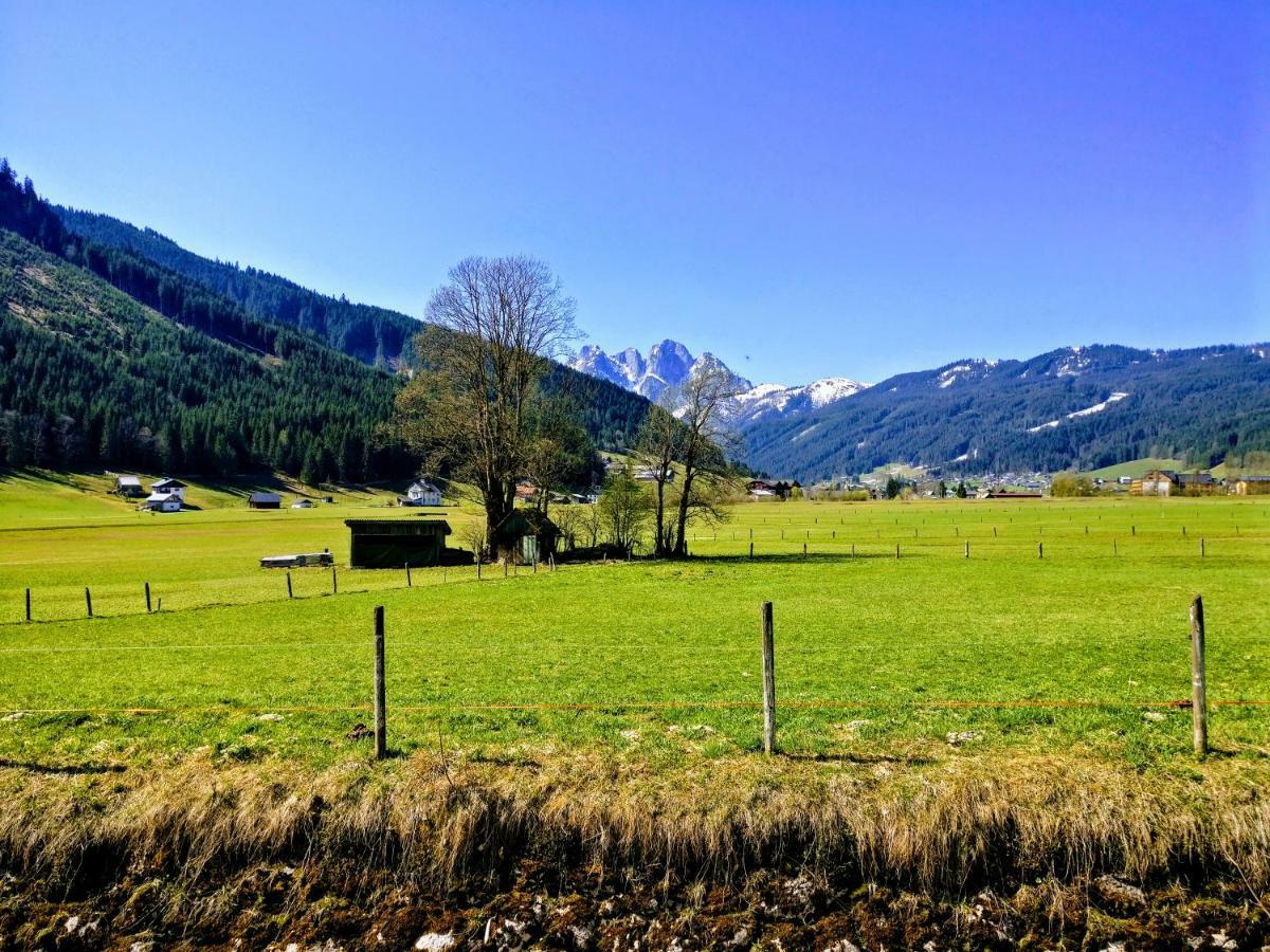 Pension Edelweiss Top 25 Gosau Esterno foto