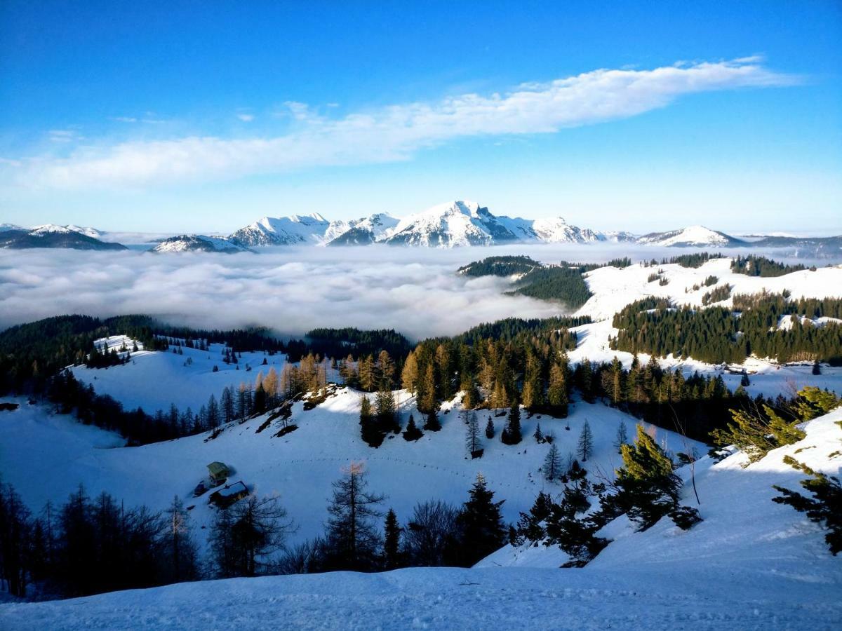 Pension Edelweiss Top 25 Gosau Esterno foto