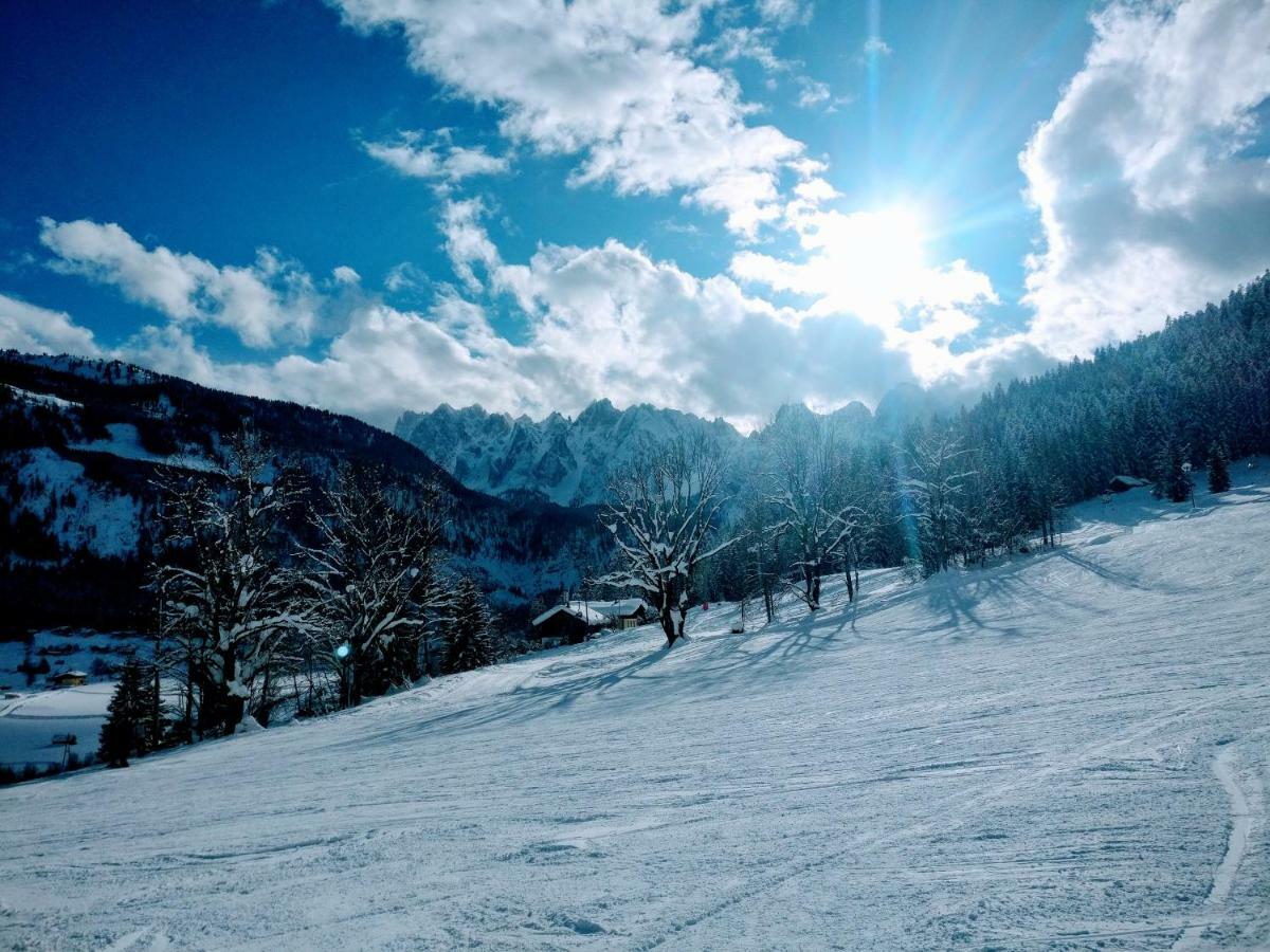 Pension Edelweiss Top 25 Gosau Esterno foto