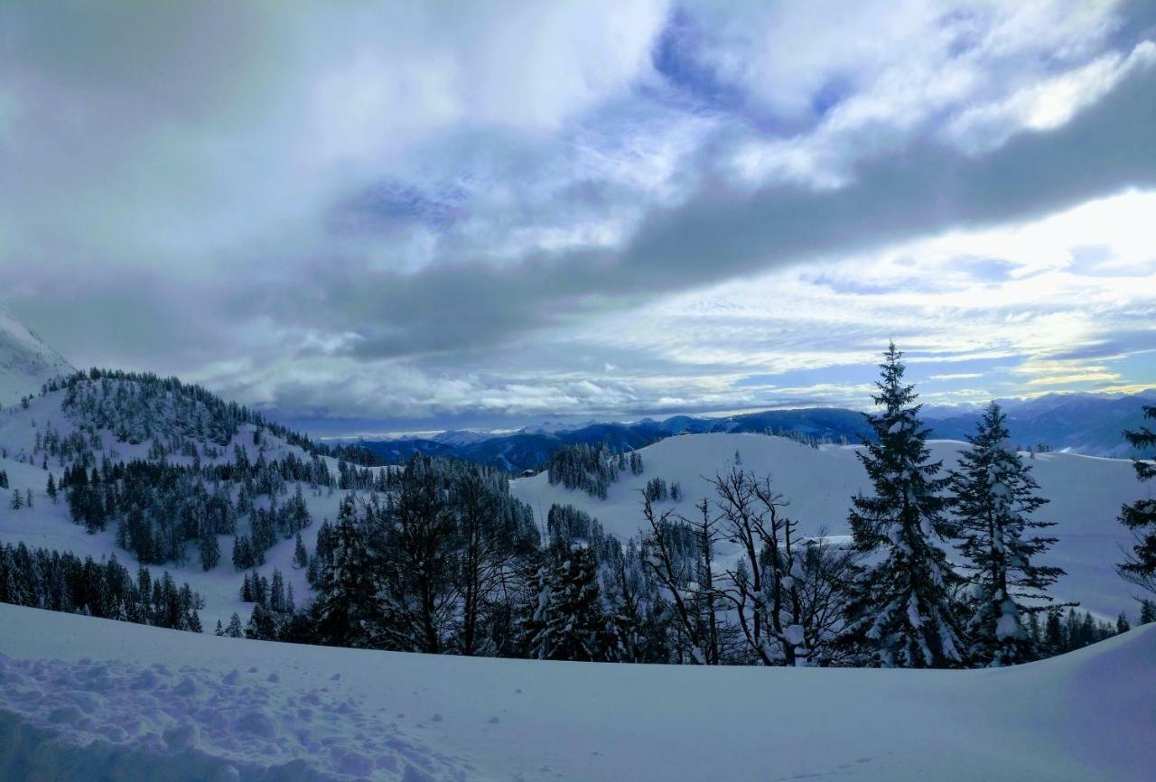 Pension Edelweiss Top 25 Gosau Esterno foto