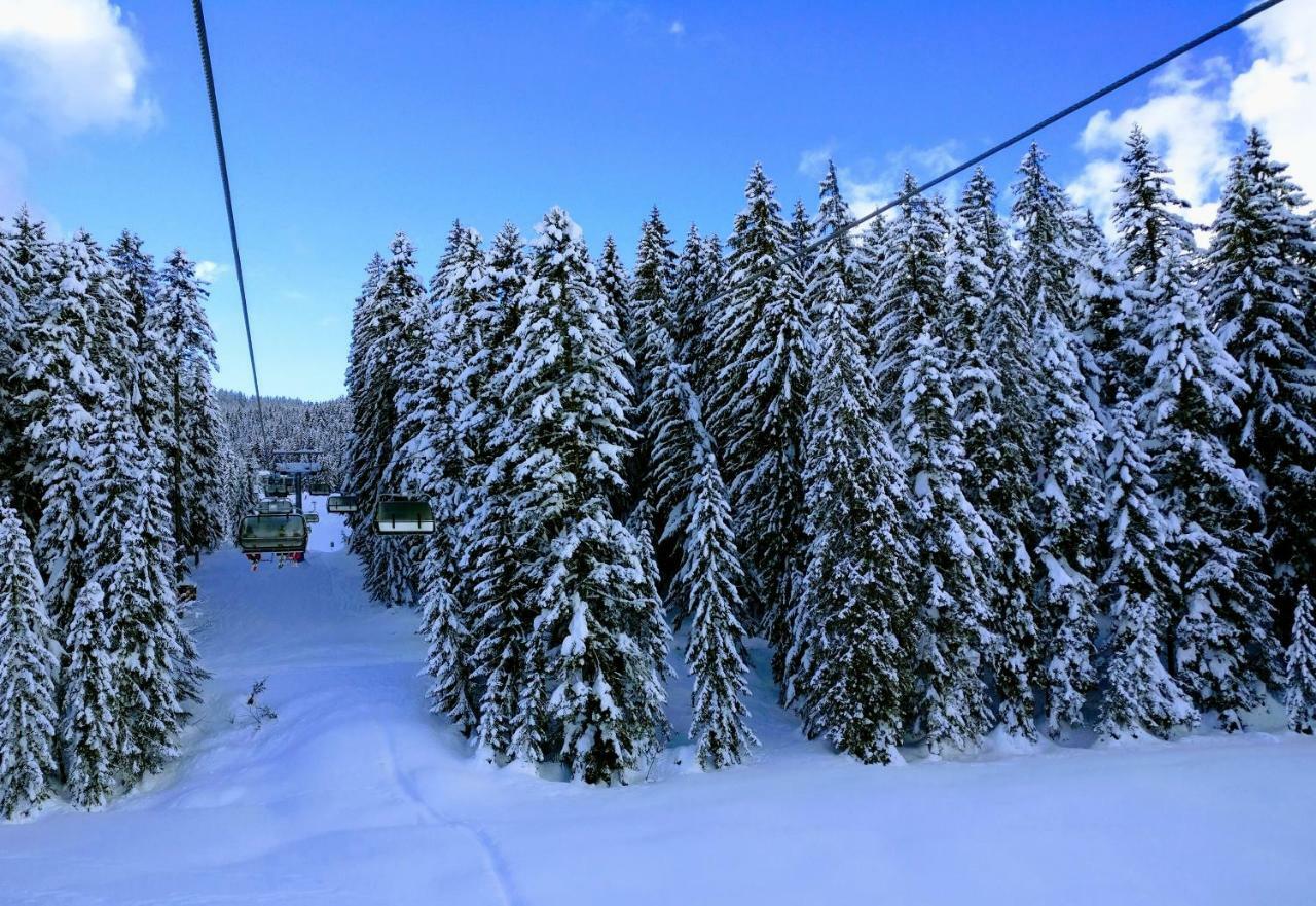 Pension Edelweiss Top 25 Gosau Esterno foto