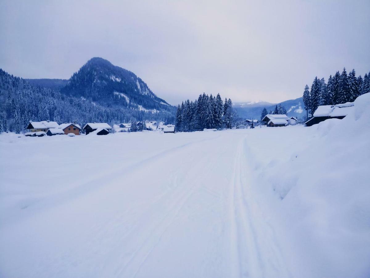Pension Edelweiss Top 25 Gosau Esterno foto