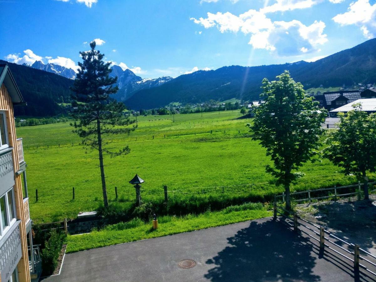 Pension Edelweiss Top 25 Gosau Esterno foto