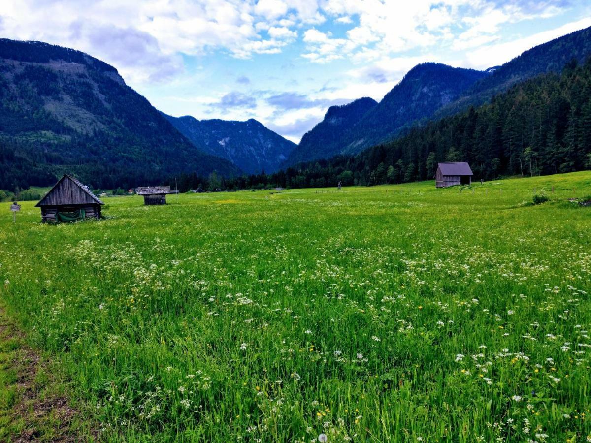 Pension Edelweiss Top 25 Gosau Esterno foto